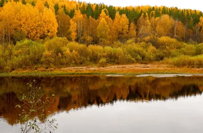 Herbst im See gespiegelt