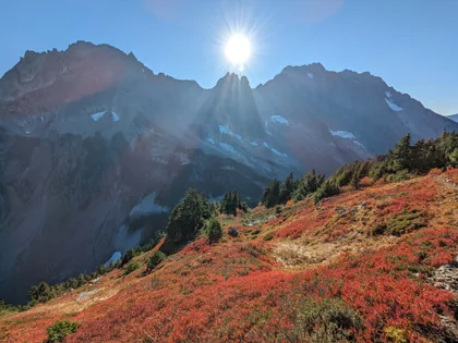 Herbstfarben am Berg