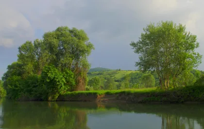 Ein ruhiges grünes Ufer