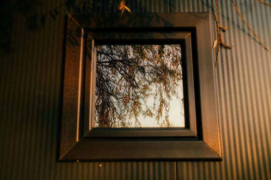 Window Framing Bare Branches