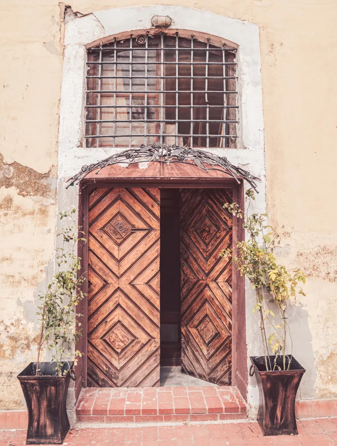 Old Door and Planters