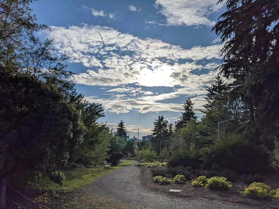 Evening Light on the Path