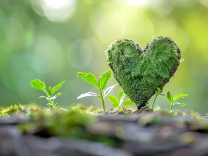 Heart of Moss