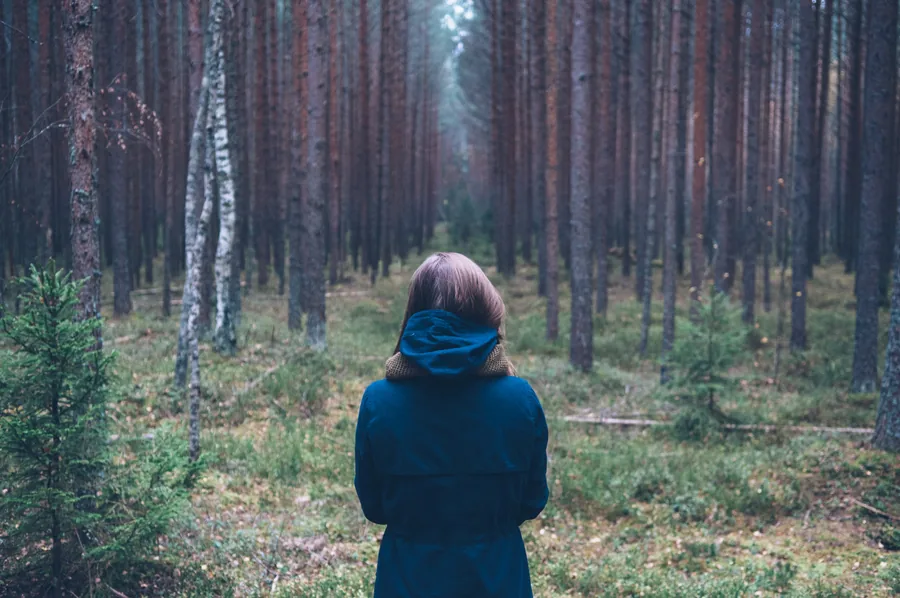 Alone in the Pines