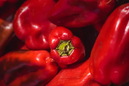 Rote Paprika in der Sonne