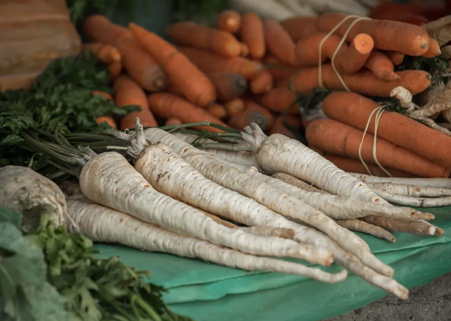 Carrots and Parsley Root