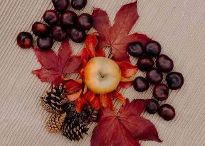 Apfel, Kastanien und Kiefernzapfen