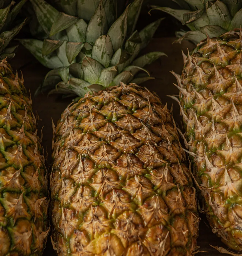 A Row of Pineapples