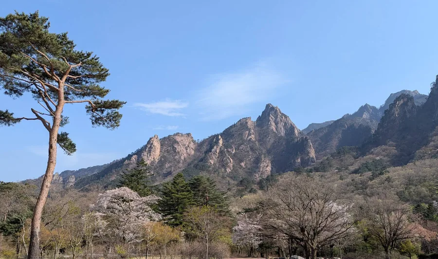 Seoraksan in Spring