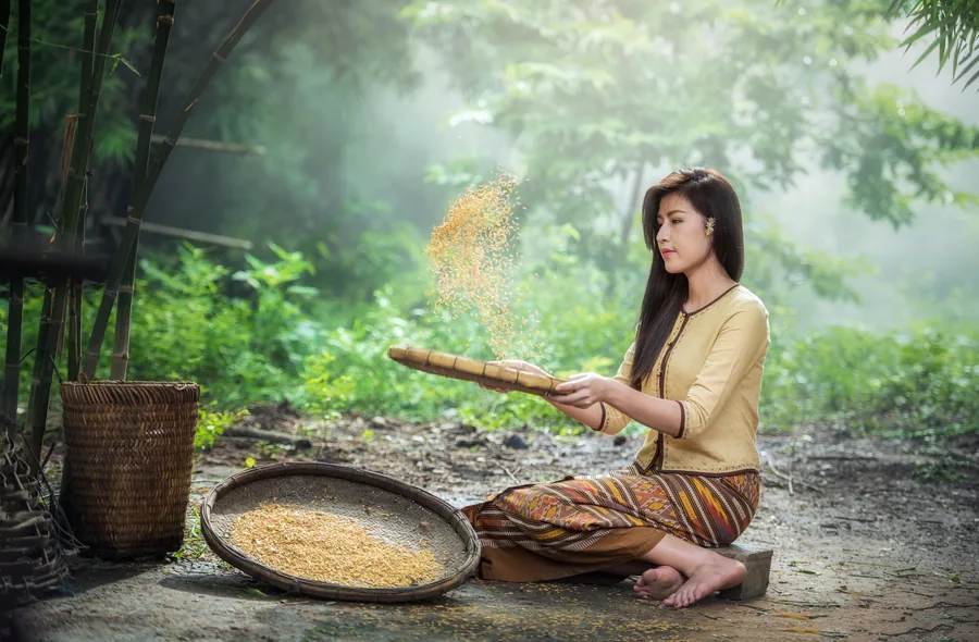 Winnowing the Rice