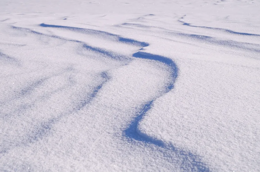 Wind Ripples in the Snow