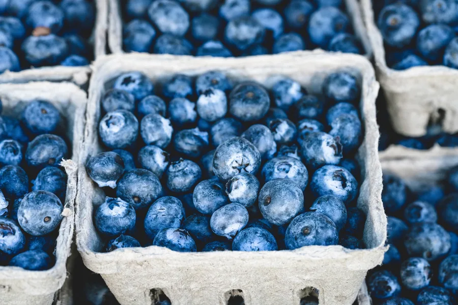 Blueberries in Punnets
