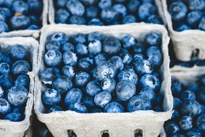 Blueberries in Punnets