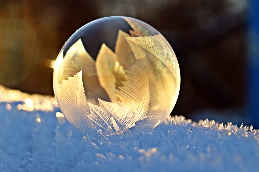 Ice Ferns Inside a Bubble