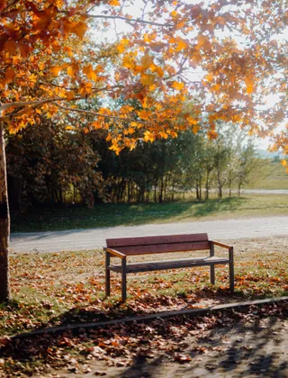 Eine Bank im Herbst