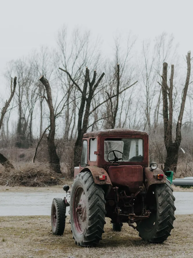 Weathered Tractor and Bare Trees