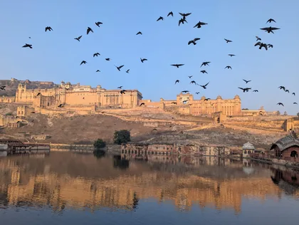 Vögel über dem Amber Fort