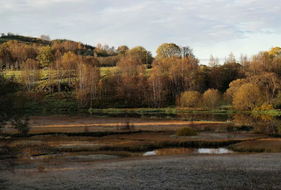Frost on an Autumn Morning