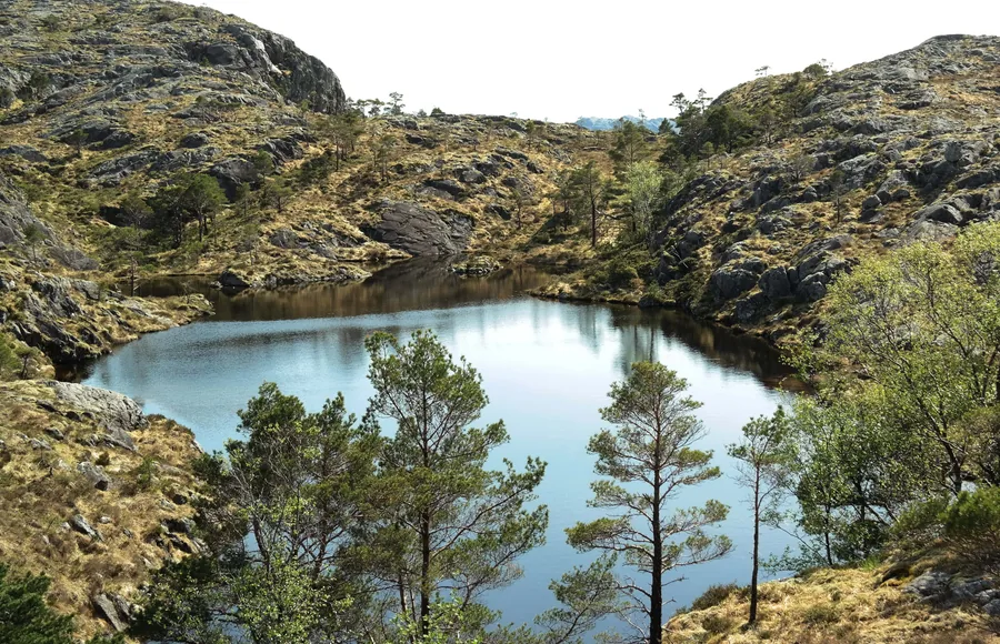 Still Water, Rocky Hills