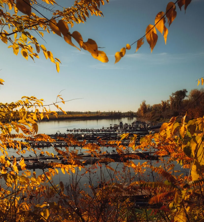 Autumn Frames the Marina