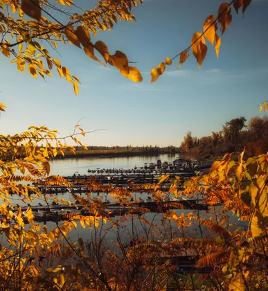 Herbst rahmt den Hafen