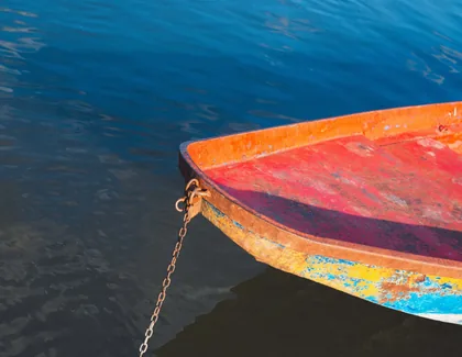 Roter Bug, blaues Wasser
