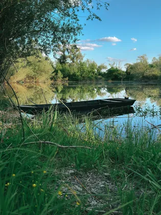 Ein altes Boot im Frühling