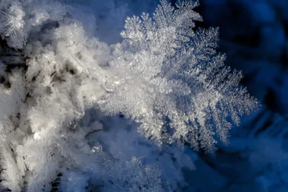 Frostkristalle im Sonnenlicht