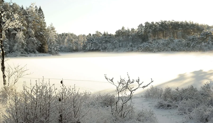 Frozen Lake in Winter Light