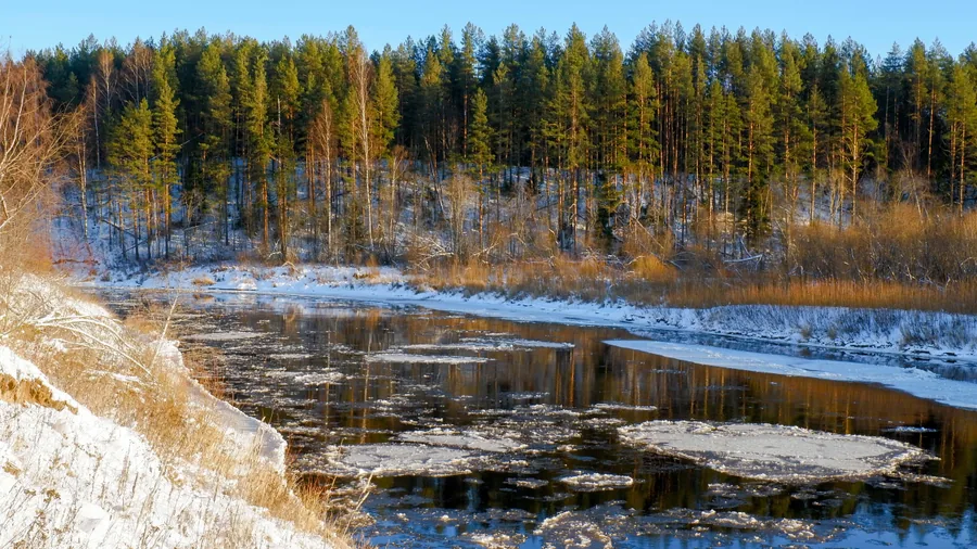 Ice on the River