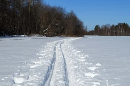 Spuren im Schnee