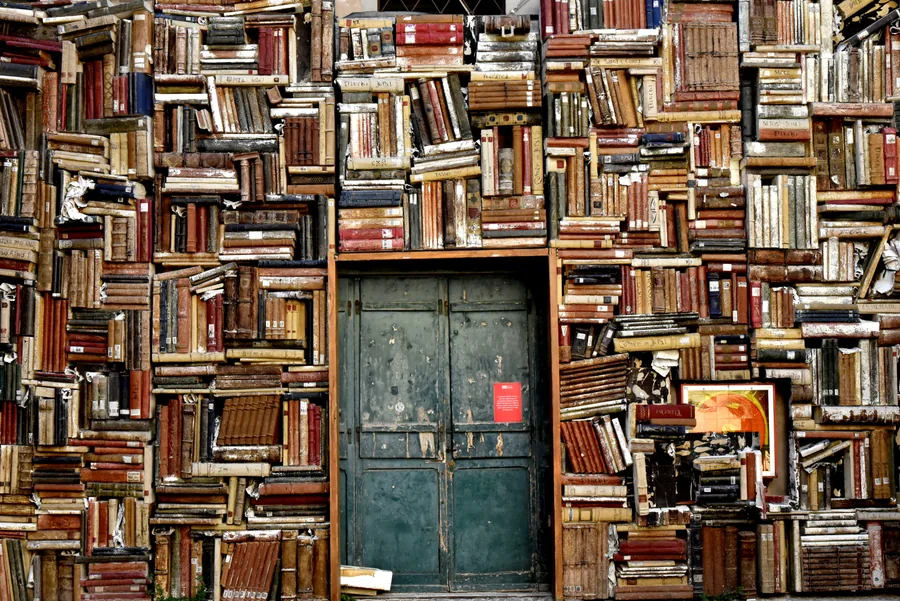 A Doorway Walled with Books